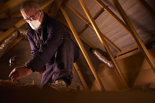 Best Cellulose Insulation in Cherry Brah, NC